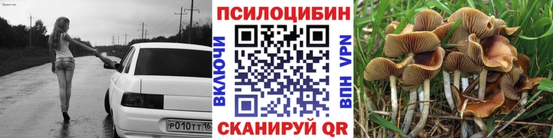 Галлюциногенные грибы Psilocybine cubensis  цены наркотик  Апрелевка 